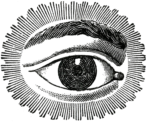 eye